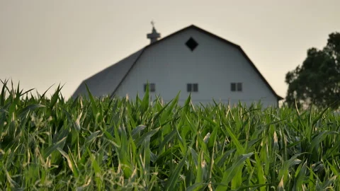 Rural midwestern landscape Stock Footage 157561604