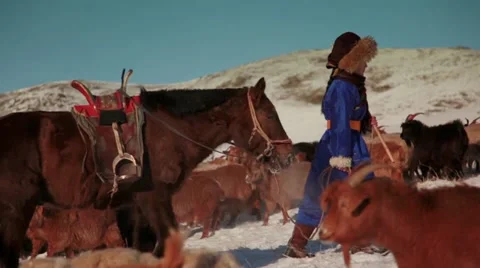 Rural in Mongolia Stock Footage 21243712