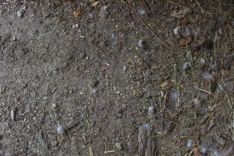 Rural mud texture Stock Photos