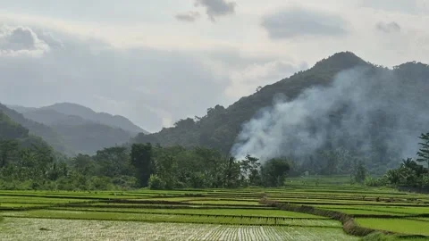 Rural Nature Video stock 334972708
