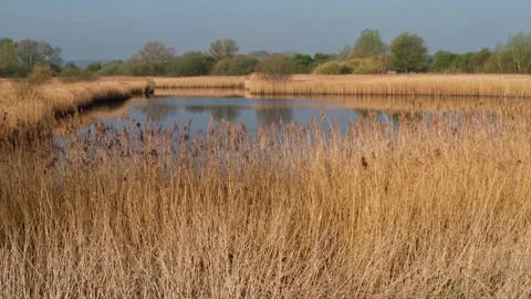 Rural nature reserve. Left to right panning shot Stock-Footage 306541538