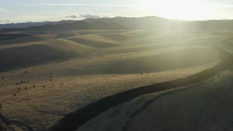 Rural Open Range Ranch Land, Crows Landing, California Drone Aerial View Stock Footage 145922868