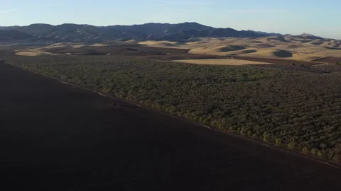 Rural Open Range Ranch Land, Crows Landing, California Drone Aerial View Stock Footage 335294686