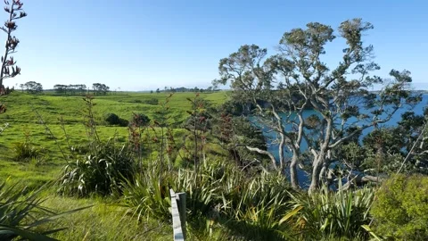 From rural paddocks to the sea Stock Footage 224564633