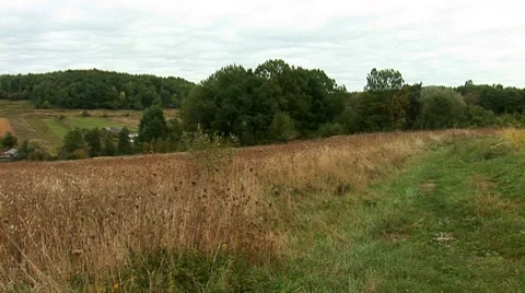 Rural pan Stock Footage 8795493