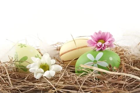 Rural pastel colored easter eggs in the hay isolated on white Stock Photos