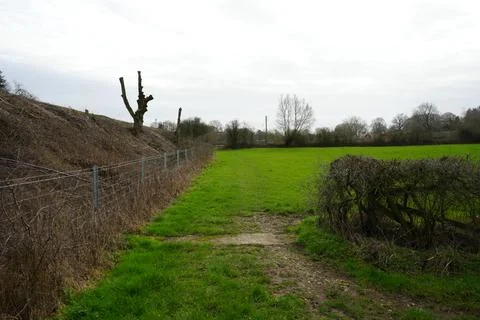 Rural Path, Green Field, Bare Trees, Fence, Cloudy Sky, Wessington, England. Foto stock