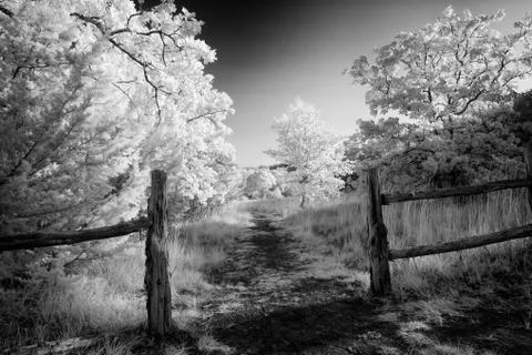 Rural Path in Texas Foto stock