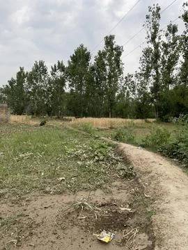 Rural Path Through Field Stock Photos