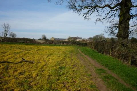 Rural Path Through Fields Towards Houses, Barlow, North East Derbyshire, 스톡 사진