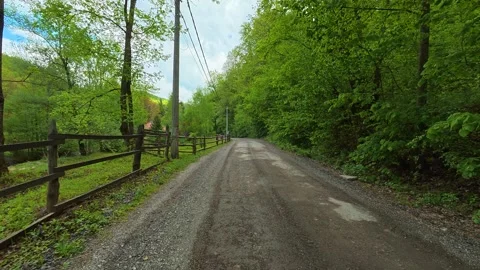 Rural path winds through lush green trees. Grza River Spring, Serbia Video stock 334466912