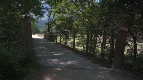 Rural pathway leading through a forested greenway 動画素材 337036130