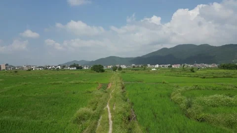 Rural Pathway in the Mountains Video stock 253883971