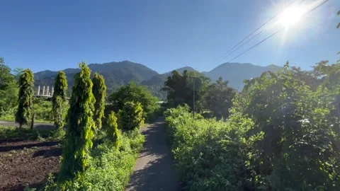 Rural Pathway Surrounded by Greenery with Mountain View Stock Footage 329175043