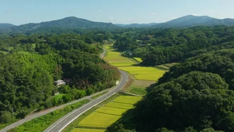 Rural Paved Road Winding Through Lush Forests And Rice Paddies In Japan - Drone Stock Footage 337051474