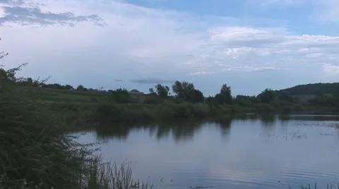 Rural Pond Stock Footage 8234425