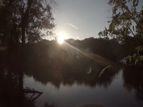 Rural Pond Stock Footage 77610217