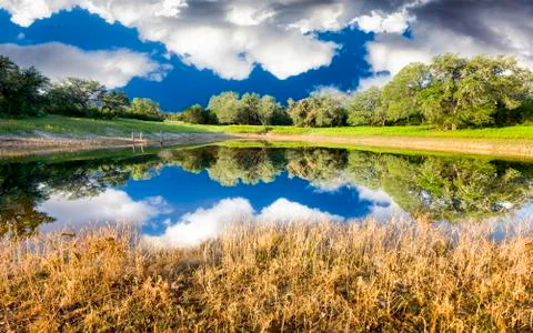 Rural Pond with Reflections Stock Photos