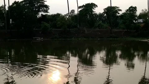 Rural Pond at Sunset Time Stock Footage 109605806