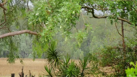 Rural Rain Stockbeeldmateriaal 168388605