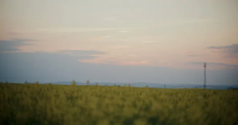 Rural Rapeseed Field with Clouds Stock Footage 308260163