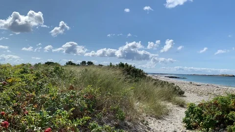 Rural Rhode Island with Beach in background - slight wind 4K Rhode Island Stockbeeldmateriaal 115919841