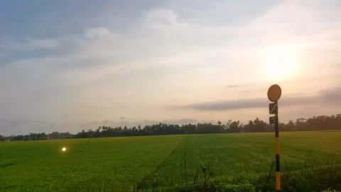 Rural rice fields from inside an Indonesian train Stock Footage 306642234