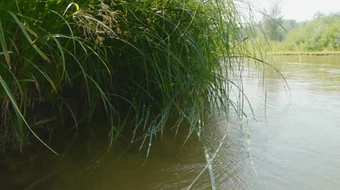 Rural river Stock Footage 12751532