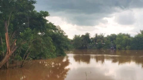 Rural River Stream and Coconut Trees in Cambodian Countryside Stock Footage 344971275