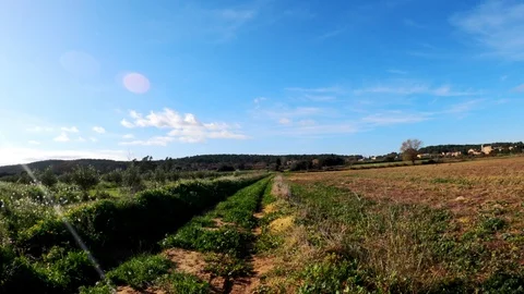 Rural road among fields, forests and meadows. View from the cyclist perspective Stockbeeldmateriaal 123121947