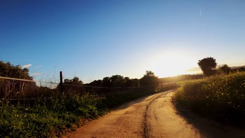 Rural road among fields, forests and meadows. View from the cyclist perspective Stock Footage 123121988