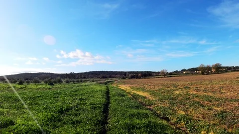 Rural road among fields, forests and meadows. View from the cyclist perspective Stock Footage 123122132