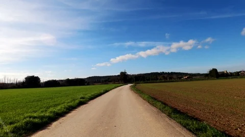 Rural road among fields, forests and meadows. View from the cyclist perspective Stock Footage 123122146