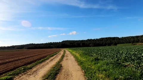 Rural road among fields, forests and meadows. View from the cyclist perspective Stock Footage 123122287