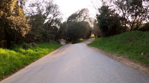 Rural road among fields, forests and meadows. View from the cyclist perspective Stock Footage 125827687
