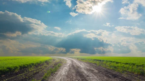 Rural road among a fields, time lapse scene Stock Footage 169245477