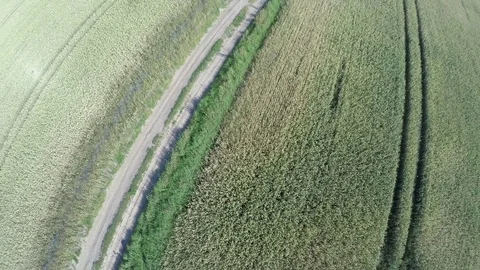 Rural road and crop fields aerial view from flying drone Stock Footage 78413905