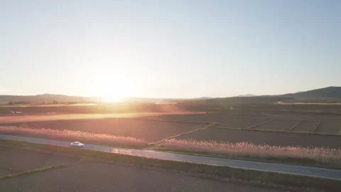 Rural road between abstract geometric shapes of rice agricultural parcels at  Video stock 316832907