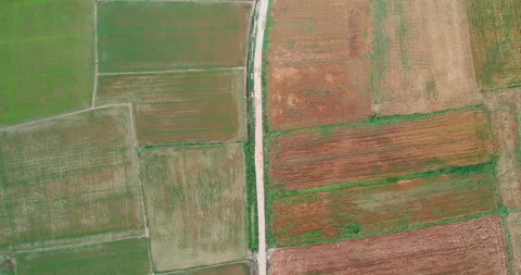 Rural road between abstract geometric shapes of rice agricultural parcels in  Video stock 325617669