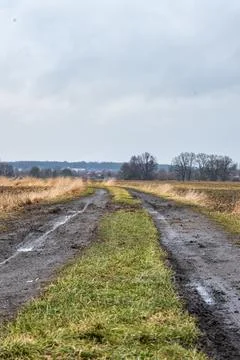 Rural road between fields with winter landscape Photos