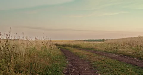 Rural road between meadows. Dirt path between fields, a tourist route. Country Stock Footage 218980348