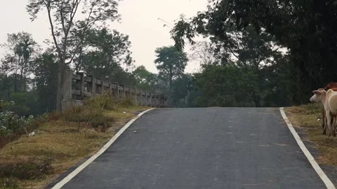 Rural road crossing small bridge surrounded by trees Stock Footage 326032253