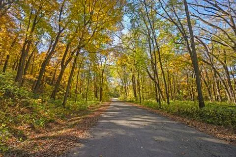 Rural Road in the Fall 스톡 사진