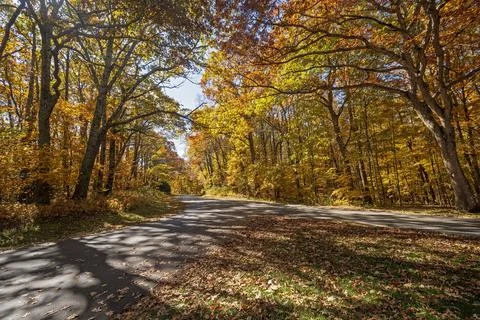 Rural Road in Fall Shadows Fotos Stock