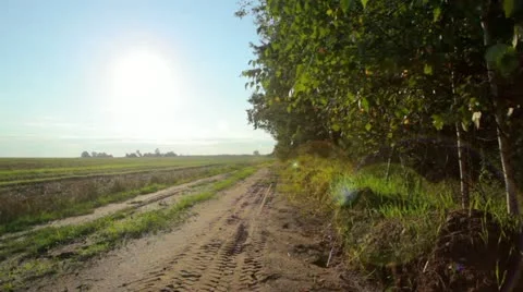 Rural road Stock Footage 11804219