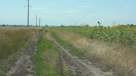 Rural road 스톡 동영상 25337334