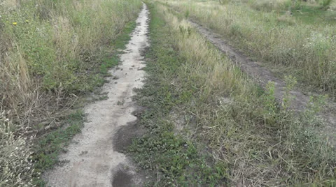 Rural road 스톡 동영상 25589965