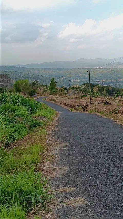 Rural road Stock Footage 284490098