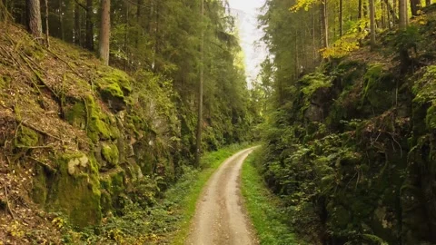 Rural road in the forest between rocks Stock Footage 218340010
