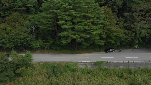 Rural Road In Forest Video stock 95628293